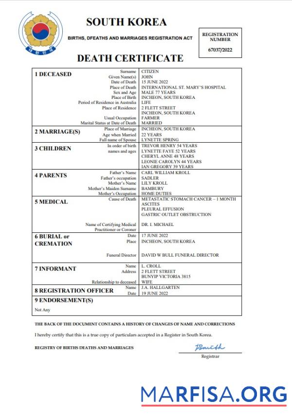 Downloadable South Korea vital record death certificate Word and PDF template